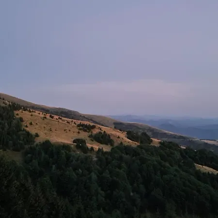 Golija Sky View 科帕奥尼克