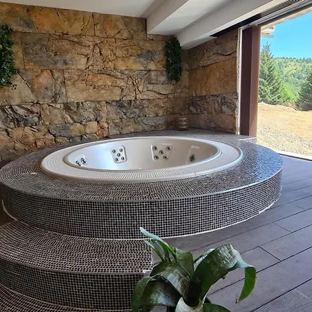 公寓 Golija Sky View *