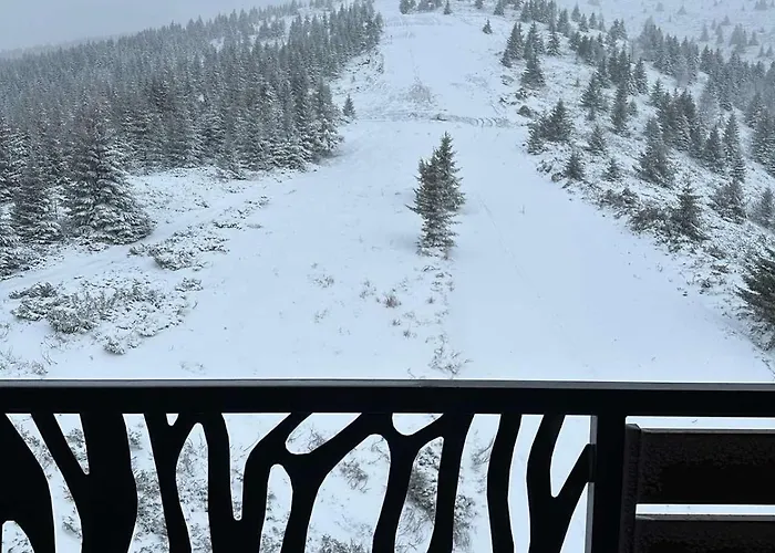 公寓 Golija Sky View