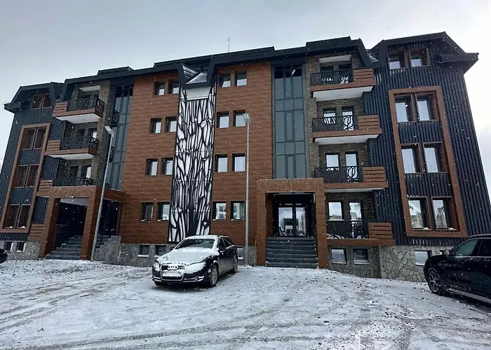 公寓 Golija Sky View *