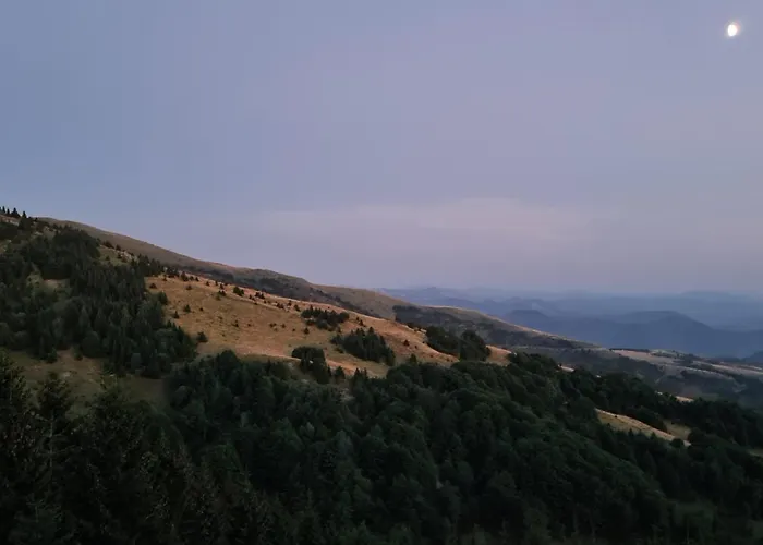 Golija Sky View 科帕奥尼克