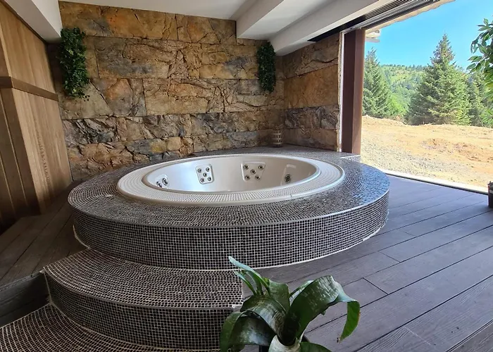 公寓 Golija Sky View *