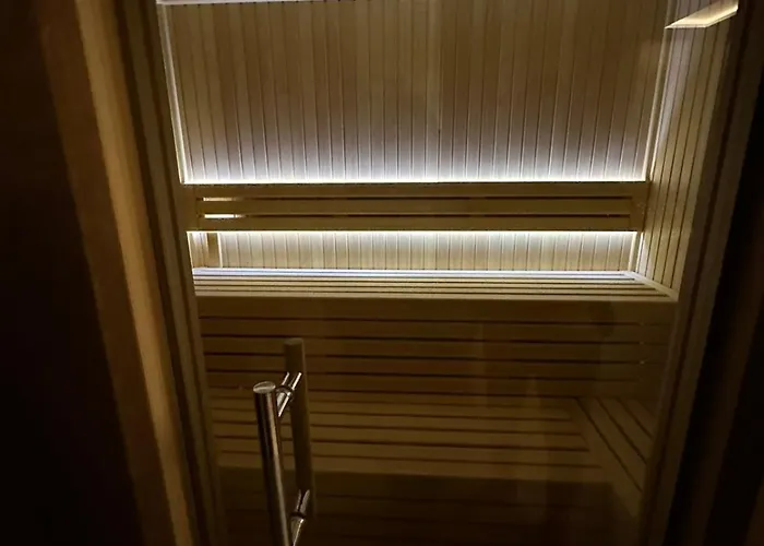 公寓 Golija Sky View *