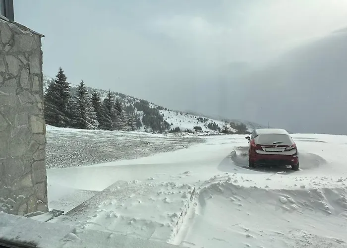 公寓 Golija Sky View *