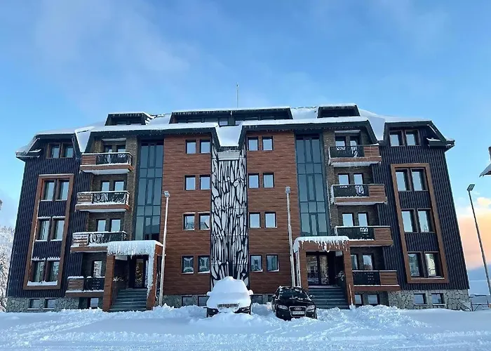 公寓 Golija Sky View 科帕奥尼克