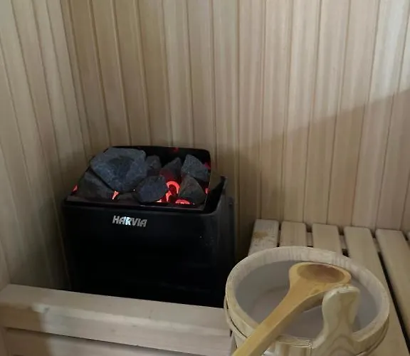 Golija Sky View 公寓 科帕奥尼克