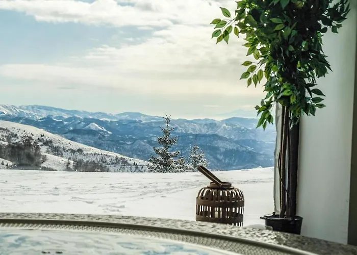 Golija Sky View 公寓 科帕奥尼克