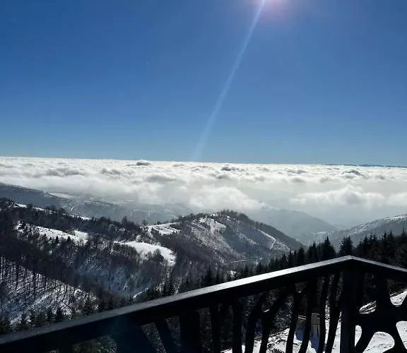 公寓 Golija Sky View 科帕奥尼克